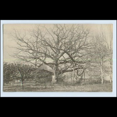 W2C62/ Bad Brückenau Tausendjährige Eiche AK 1908 Baum