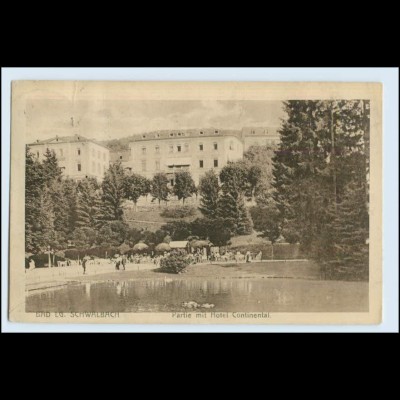 W2U28/ Bad Schwalbach Partie mit Hotel Continental 1916 AK