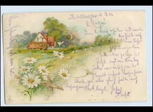 W3S81/ Sonnenschein Postkarte Litho AK 1906
