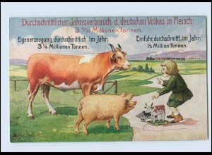 Y337/ Volkswirtschaftliche Wahrheiten Landwirtschaft AK Kuh, Schwein
