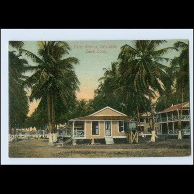 N9805/ Cristobal Palm Avenue, Canal Zone Panama AK ca.1910