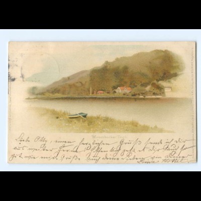 Y6610/ Wiesenbecker Teich bei Bad Lauterberg Meissner & Buch Litho AK 1898 