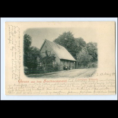 XX001631-2057/ Gruß aus dem Sachsenwald Forsthaus Wildpark Ak 1899