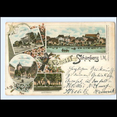 XX005602-239/ Gruß aus Schönberg i. M. Litho AK 1898