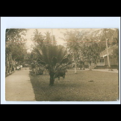 Y15538/ Palembang Sumatra Indonesien Foto AK 1914