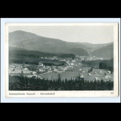 Y16616/ Neuwelt - Harrachsdorf Tschechien AK ca.1925
