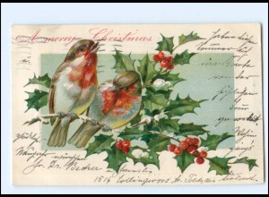 Y18076/ Vögel Singvögel Weihnachten Christmas Litho Präge AK 1906