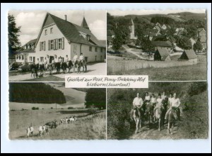 Y24542/ Eisborn Sauerland Gasthof zur Post, Pony-Trekking AK ca.1965