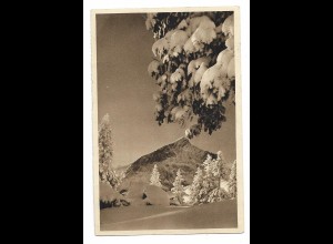 MM0833/ WHW Ganzsache 1934/35 AK Alpspitze Bild Nr.29