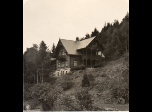 AK-0517/ Wölfelsgrund Prinzl. Sommerquartier Schlesien NPG Stereofoto ca.1905 