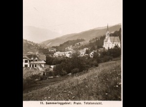 AK-0883/ Prein Semmeringgebiet Stereofoto 1908 