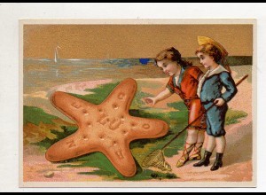 Y14428/ Biscuits Lefevre altes Kaufmannsbild Angeln Catcher Kekse Kinder Litho 