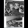 C3352/ 10 x Foto Hühnerfarm Hühnereier 17 x 12 cm Pressefotos 50er Jahre