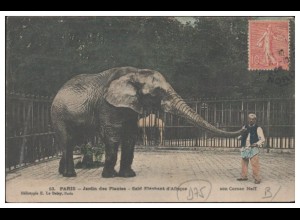 S4200/ Paris Jardin des Plantes Elefant Zoo Tierpark Frankreich 