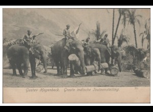 S4851/ Hamburg Hagenbeck Tierpark Zoo Elefanten Völkerschau Indien ca.1912