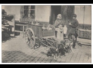 Y27870/ Hundekarre Flamande Belgien AK 1910