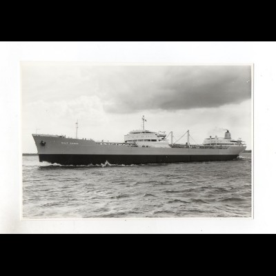 c1265/ Frachter Handelsschiff Gulf Hansa ca.1965 Foto 21,5 x 14,5 cm