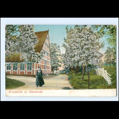 Y20256/ Kirschblüte im Altenlande AK 1914