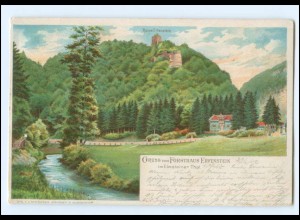 XX15387/ Gruß vom Forsthaus Erfenstein im Elmsteiner Thal Litho AK 1902