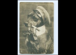 V2199/ Dackel als Student mit Zigarette tolle Foto AK Dachshund ca.1912