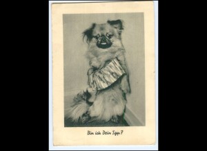 Y22965/ Hunde AK "Bin ich Dein Typ" 1942