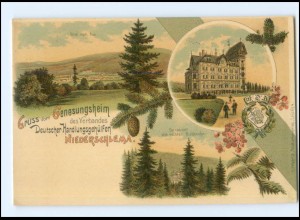 V5336-083/ Niederschlema Genesungsheim VDH Litho AK ca.1900 Bad Schlema