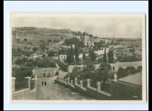 XX16862/ Jerusalem Garten Gethsemane Foto AK Palästina ca. 1930