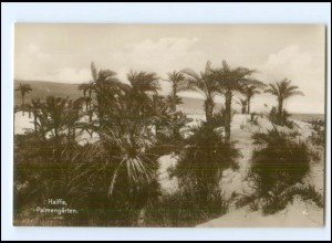 V5238/ Haifa Palästina Foto Trinks-Bildkarte AK-Format ca.1925