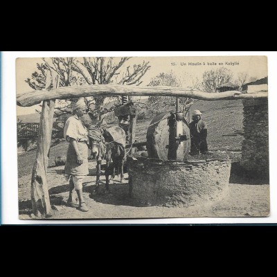 V3553/ Un Moulin a huille en Kabylie Esel Mühle AK Algerien ca.1910