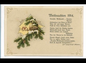 Y23828/ Weihnachten 1914 schöne Litho AK Vögel Vogelnest 1914